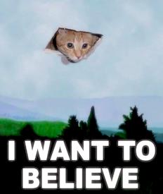 I Want To Believe I Want To Believe