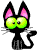 Black Cat