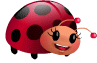 Ladybug Ladybug
