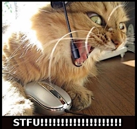 STFU